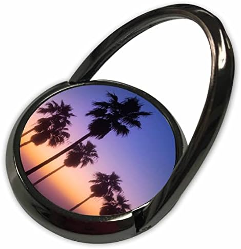 3Drose Palm stabla siluetirana izlaskom sunca kroz maglu - Telefonske prstenove
