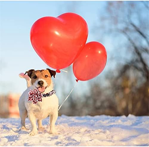 Hfdgdfk Valentine Crveni srčani ovratnik s cvijetom podesivi za kućne ogrlice za veliki srednji mali pas