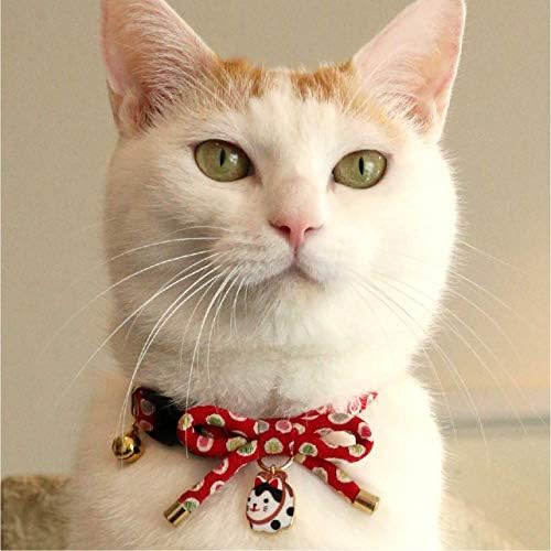 Ogrlica za mačke