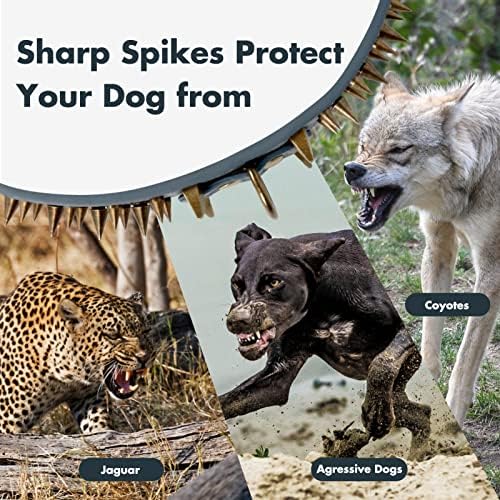 Šiljasti ovratnik za pse, Wanyang Big Sharp Spike Dogs, geniune kože, zaštita vrata od ugriza, podesiv, fit pitbull doberman njemački