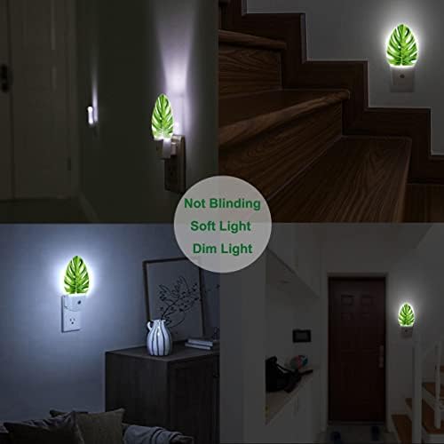 Noćno svjetlo od 0,5 vata priključeno na zid za spavaću sobu i kupaonicu