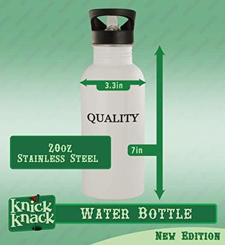 Knick Knack pokloni it - boca vode od nehrđajućeg čelika od 20oz, srebro