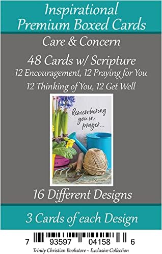 Briga i briga Premium 48 Broj kršćanske / religiozne čestitke Asst ~ Sveto pismo na svakoj kartici ~ 12 ohrabrenje, 12 moleći za vas,