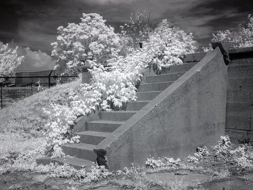 PovijesneFindings Foto: McMillan Reservoir, Washington, D.C, Carol Highsmith, fotograf, 2010, stepenice