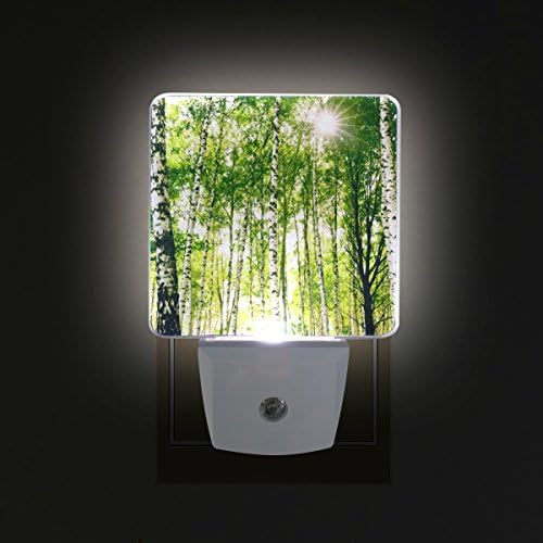 2 kom. plug-in LED noćno svjetlo s brezovim noćnim svjetlima sa senzorom bijelog svjetla od sumraka do zore Savršeno za kupaonicu,